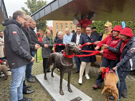 Zdjęcie Pomnika Psa Ratownika w Wołczkowie