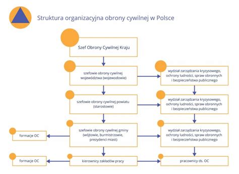 Infografika przedstawiająca strukturę ochrony przeciwpożarowej w Polsce z podziałem na PSP i OSP oraz rolę KSRG.