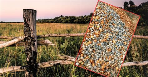 Zdjęcie przedstawiające stertę materiału organicznego z widocznymi kanałami wypalenia i dymem