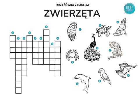 Infografika przedstawiająca strukturę krzyżówki z zaznaczonymi hasłami i definicjami