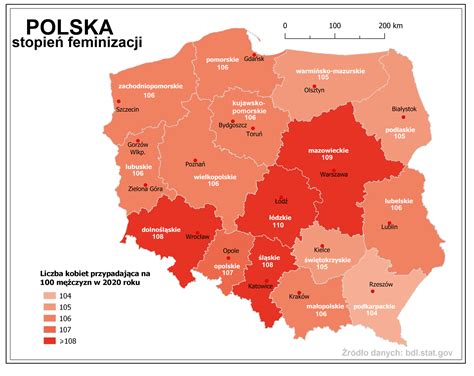 Infografika przedstawiająca główne przyczyny katastrof budowlanych z podziałem na błędy ludzkie i czynniki losowe