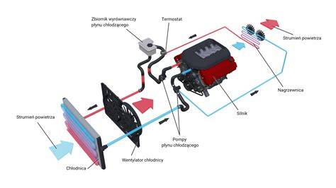 Infografika przedstawiająca przepływ płynu hydraulicznego wewnątrz siłownika podczas cyklu cięcia