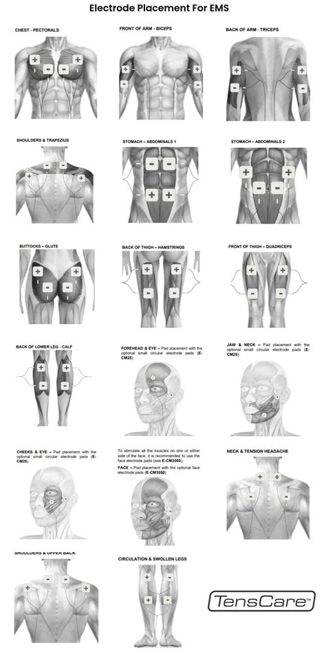 Infographic showing the correct placement of OSP insignias