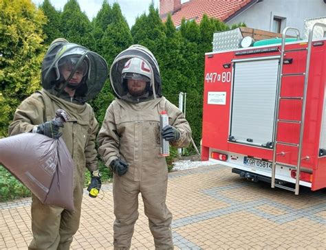 Ilustracja przedstawiająca odpowiedni ubiór strażaka do usuwania gniazd owadów