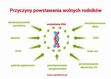 Schemat trójkąta spalania z uwzględnieniem wolnych rodników jako czwartego elementu reakcji chemicznej