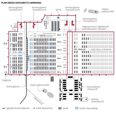 Plan obozu młodzieżowego - mapa z oznaczeniem miejsc noclegowych, stołówki i poligonu