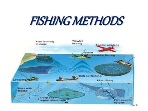 Infographic showing different fishing methods and allowed equipment