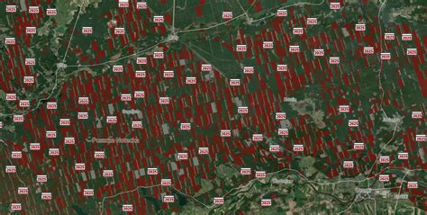 Mapa obszarów dotkniętych pożarami lasów w Brandenburgii i okolicach Berlina