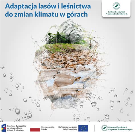 Infografika przedstawiająca zagrożenia związane z niewybuchami na terenach leśnych