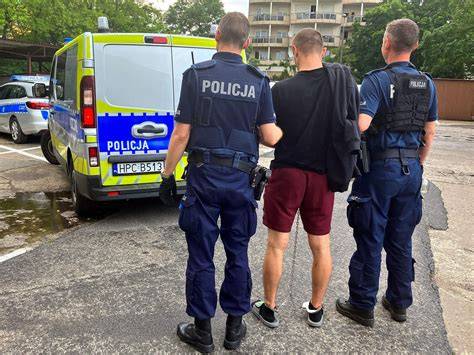 Zdjęcie policjantów prowadzących przeszukanie terenu leśnego w celu znalezienia sprawcy