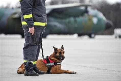 Marta in firefighter uniform with her search and rescue dog
