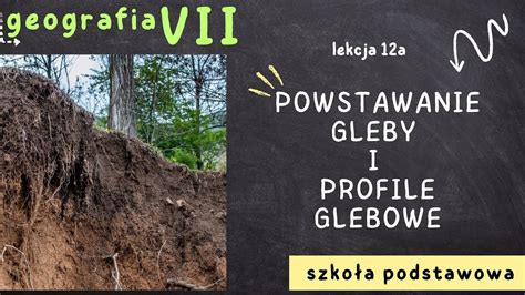 schemat przedstawiający różne typy pożarów lasów: podpowierzchniowy, pokrywy gleby, podszytów, koronowy