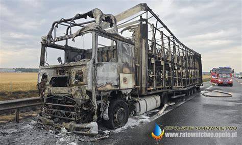 pożar ciężarówki do transportu koni w stadninie