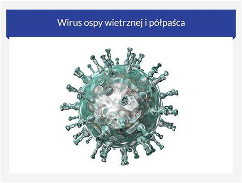 Schemat przedstawiający transmisję wirusa ospy wietrznej