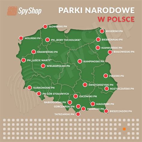 Schemat rozwoju szkół pożarniczych w Polsce z zaznaczeniem kluczowych dat i zmian nazw