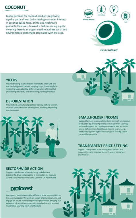 Infographics illustrating the legal provisions for privileged vehicles vs. private vehicles.