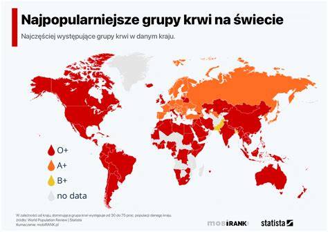 Infografika przedstawiająca najpopularniejsze udogodnienia w kwaterach na Podhalu