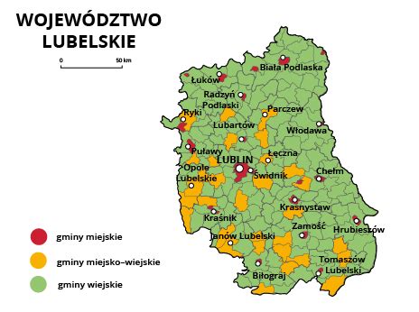 Mapa województwa lubelskiego z zaznaczonymi miejscami pożarów