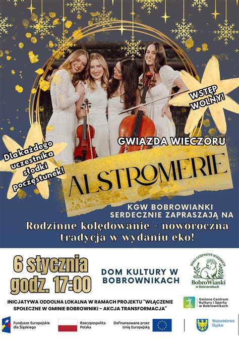 Członkowie OSP Toszek biorący udział w lokalnej uroczystości lub wydarzeniu kulturalnym