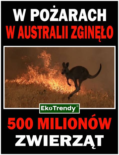 Infografika: Szacowane straty zwierząt w pożarach Australii według kategorii gatunków
