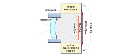 Schemat budowy kasku z zaznaczoną regulacją rozmiaru i mikrofonem