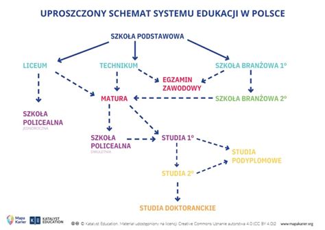 Wykres przedstawiający ścieżki kariery po ukończeniu liceum o profilu strażackim