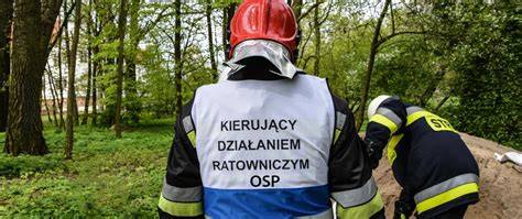 Schemat: ścieżki kwalifikacyjne dla KDR w OSP i PSP