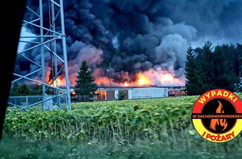 Strażacy gaszący pożar chlewni, z widoczną niestabilną konstrukcją dachu i użyciem ciężkiego sprzętu