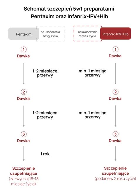 infografika przedstawiająca schemat dwudawkowego szczepienia przeciw półpaścowi