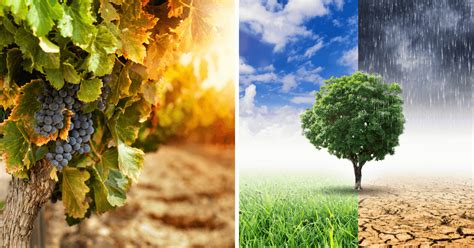 Wizualizacja wpływu zmian klimatu na Australię (susze, pożary)