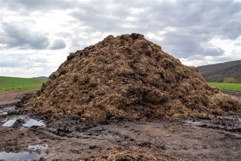 Thematic photo of a fire engine suppressing a pile of manure