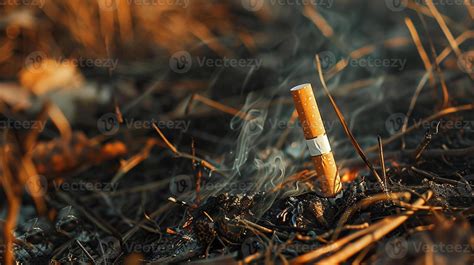 zdjęcie pokazujące porzucony niedopałek papierosa na suchej ściółce w lesie