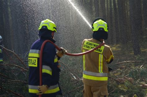 Kadr wideo z relacji telewizyjnej pokazujący dymiące pogorzelisko w Zgierzu, strażaków w akcji i spadające kawałki spalonego plastiku.