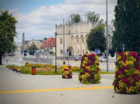 Aktualne zdjęcie pogorzeliska w Zgierzu z maja 2023 r., ukazujące wciąż zalegające hałdy spalonych odpadów i zarośla.