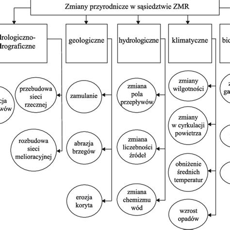 Schematyczne przedstawienie zmian balansu dla wybranych bohaterów
