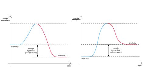 Diagram przedstawiający różnice w aktywacji ROP typu A i B