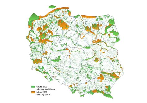 Mapa przedstawiająca obszary leśne i tereny ROD w okolicach Białych Błot