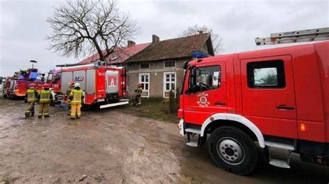 Ewakuacja cieląt z płonącego gospodarstwa