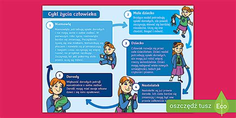 Infografika przedstawiająca cykl życia projektu w OSP: wniosek, umowa, raportowanie i audyt
