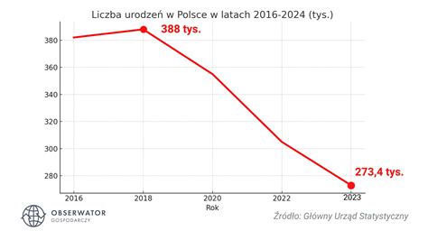 Infografika: Proporcje płci i liczba narodzin w Miejskiej Górce w 2025 roku
