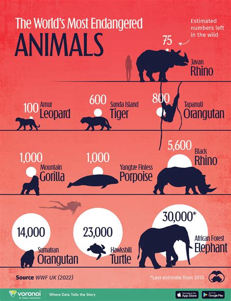 Infographic showing rescued animals vs. perished animals