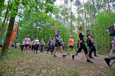 zdjęcie grupy ludzi aktywnie uprawiających nordic walking w plenerze