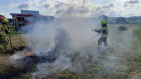Strażacy gaszący pożar traw w pobliżu zabudowań