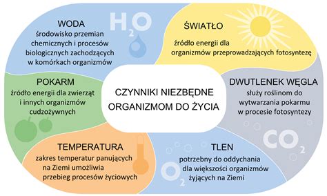 infografika przedstawiająca cztery czynniki niezbędne do powstania pożaru: temperatura, tlen, paliwo i czas