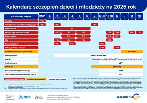 infografika przedstawiająca kalendarz szczepień dziecięcych