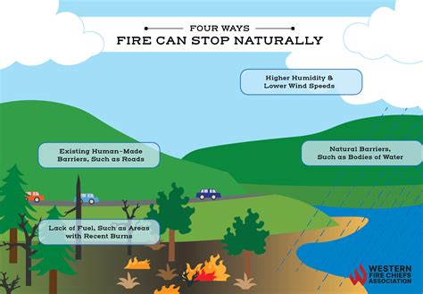 Infographic or diagram illustrating forest fire fighting techniques, water supply, and rescue operations.