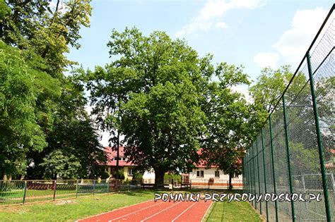 Widok zarośniętego budynku dawnej szkoły w Wąsoszu z czerwonymi szalówkami i śladami pożarów.