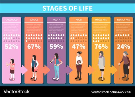 Infographic showing the stages and categories of the 