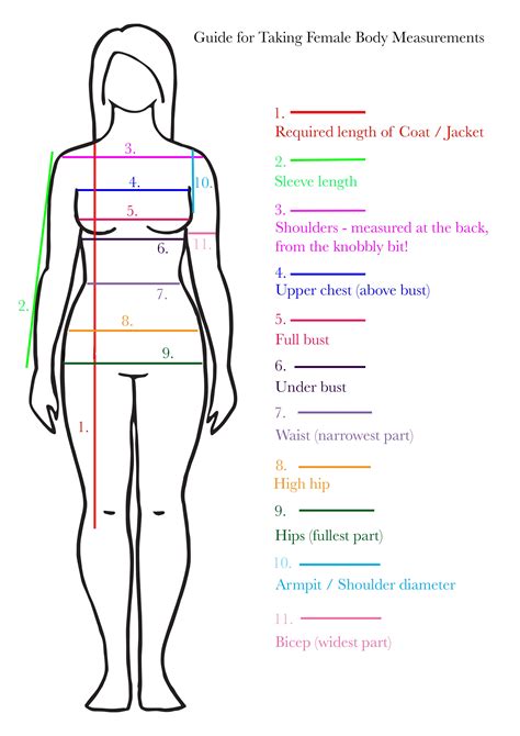 Infographic showing how to take body measurements for clothing