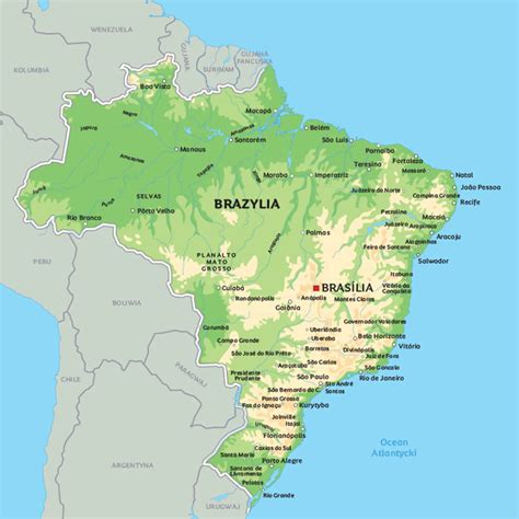 mapa pokazująca obszary wylesiania i pożarów w Brazylii i Amazonii